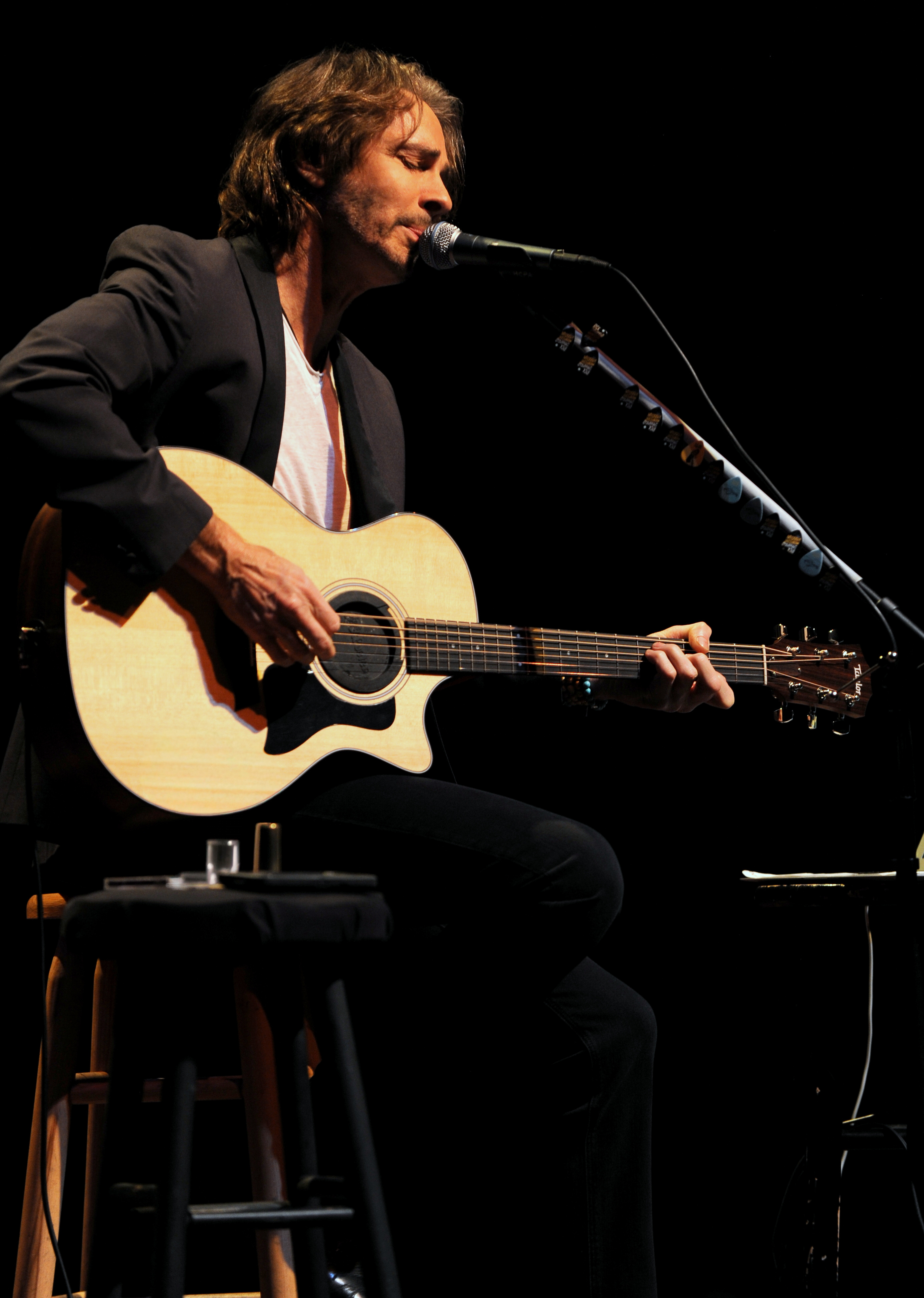 Rick Springfield live show